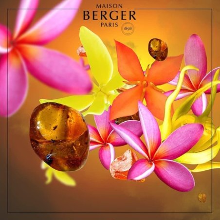 Maison Berger Amber's Sun Scented Bouquet Refill 200ml