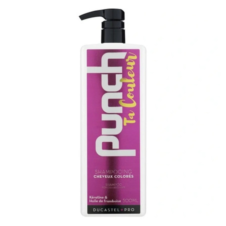 Ducastel Duc Punch Your Color Mask 500ml