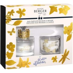 Lampe Berger Lolita Lempicka Fragrance Set, Glass, Transparent, 80 Ml
