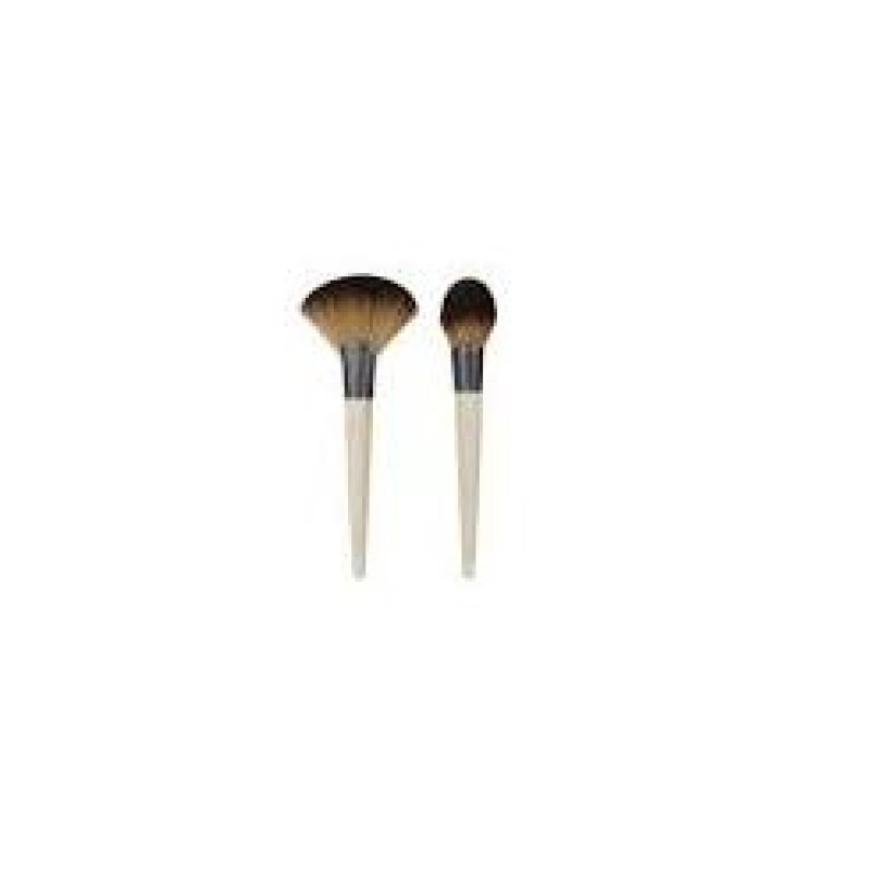EcoTools 79625016543 brosse de maquillage pour le visage et le corps