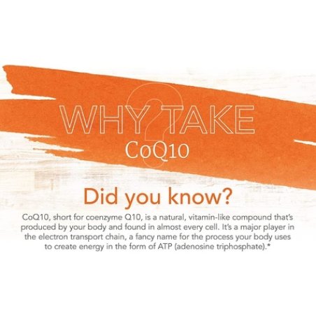 NOW ADAM Superior Men's Multi 120 Tablets 50g