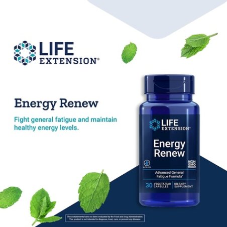 RiboGen French Oak Wood Extract 200mg 30 Vegetarian Capsules