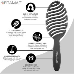 Framar Wet Hair Brush Detangler for Women