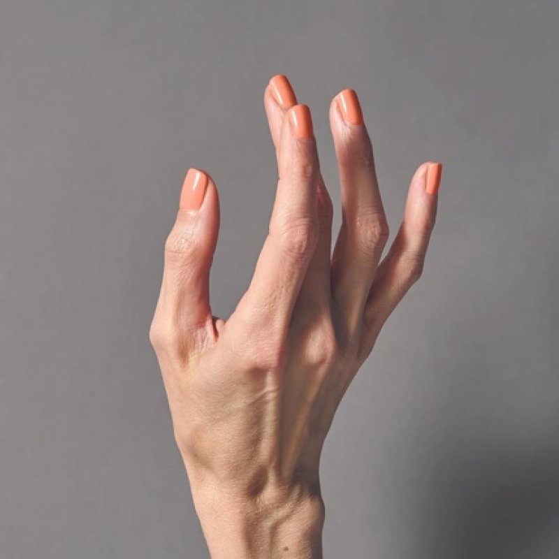 Shellac Daydreaming 465