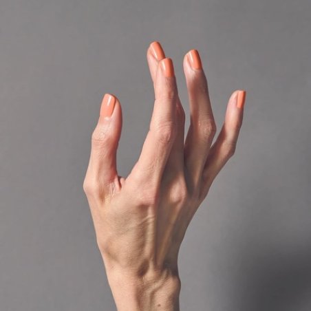 Shellac Daydreaming 465