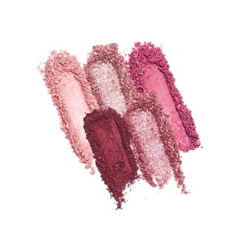 Profusion Cosmetics 5 Shade Mini Essentials Eyeshadow Palette in Matte and Satin