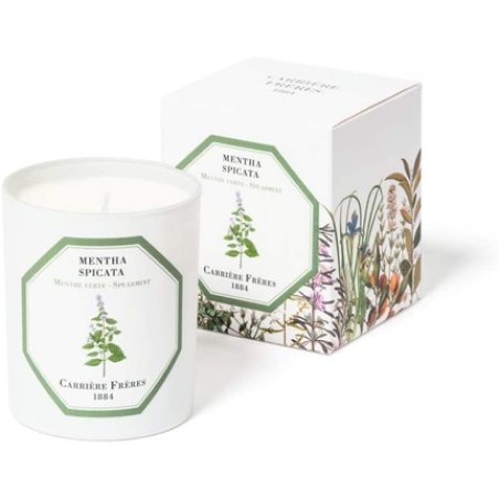 Carriere Freres Mentha Spicata - Spearmint 6.5 Oz Spearmint 4.5 Uk