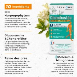 Chondrosteo Economy Size 180 Tablets