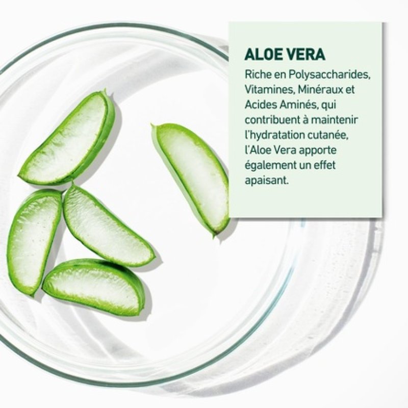 Laboratoires Vendome Nutri V Cleansing Cream Gently Cleanses and Protects