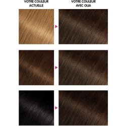 Permanent color without ammonia 4.0 Pure Chestnut