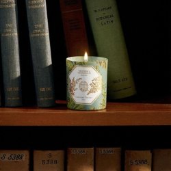 New Carriere Freres Absinthe Candle 185g