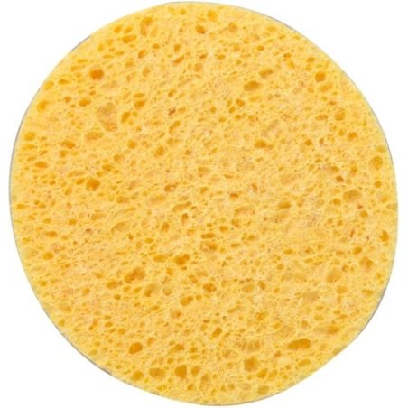 Calysia Large Vegetable Sponge