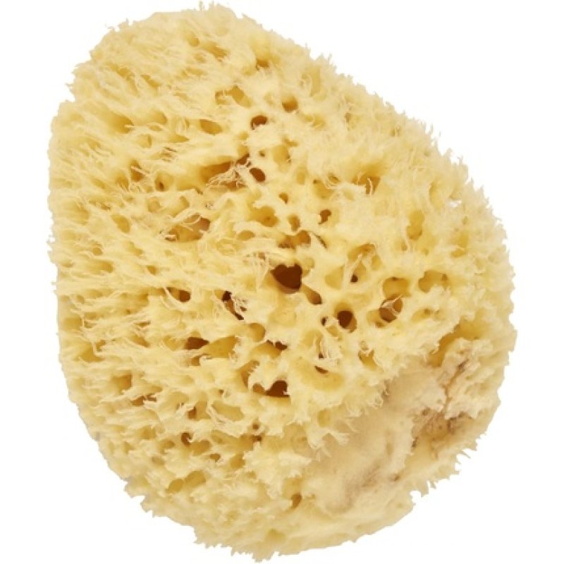 Cartel Natural Sea Sponge