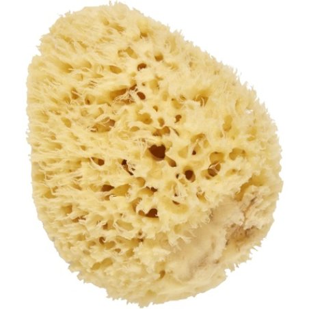 Cartel Natural Sea Sponge