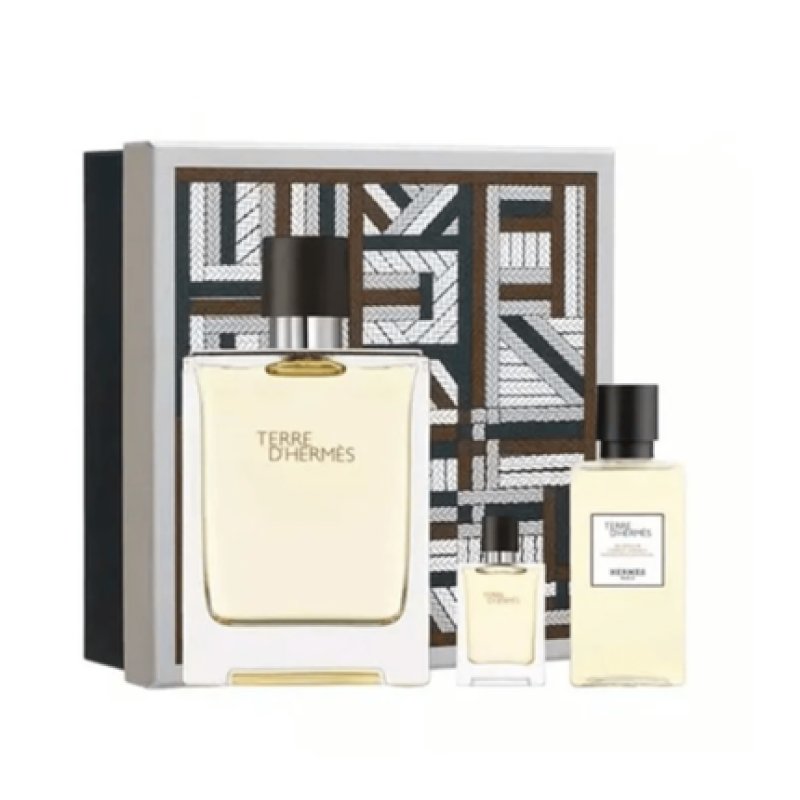 Hermes Terre D'Hermes Eau de Toilette Men's Gift Set Spray 100ml