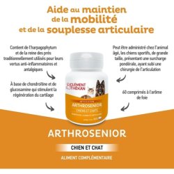 Clement Thekan Artrosenior Dog Supplement for Cartilage Regeneration