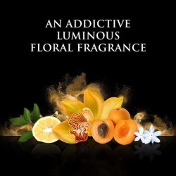 Beyonce compatible - Rise EDP 30 ml