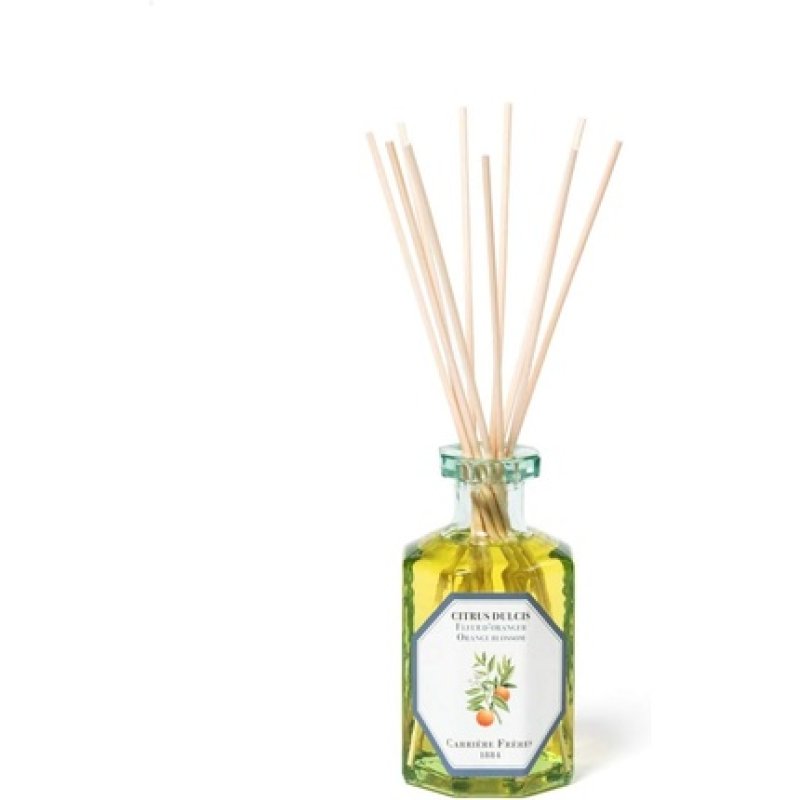 Carriere Freres Zingiber Ginger