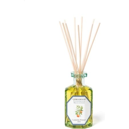 Carriere Freres Zingiber Ginger