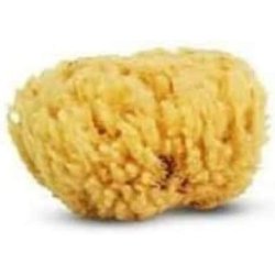 Cartel 5641 Natural Sea Sponge