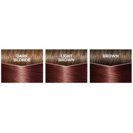 L'Oreal Casting Creme Gloss 550 Light Mahogany Brown