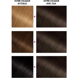 Garnier Olia Ammonia-Free Oil-Based Chestnut Hair Dye