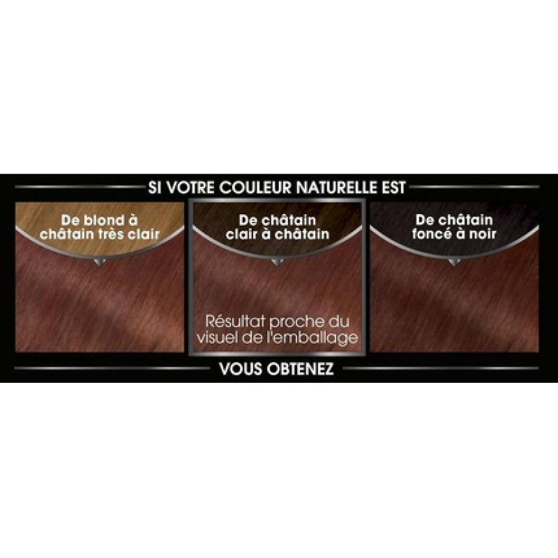 Garnier Olia Ammonia-Free Oil-Based Chestnut Hair Dye