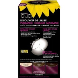 Garnier Olia 4.26 Deep Violet