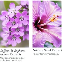 Sothys Firming Youth Cream 50ml 1.69oz