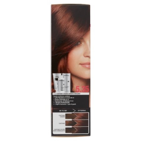 Professional Hair Dye Double Reflection Light Brown Chocolate