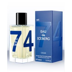Iceberg Cedar 100 ml Men