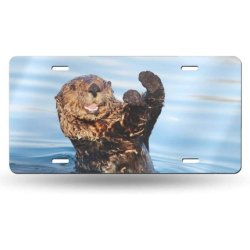 Nioxin Scalp Relief Cleanser Shampoo Professional Mild Cleansing