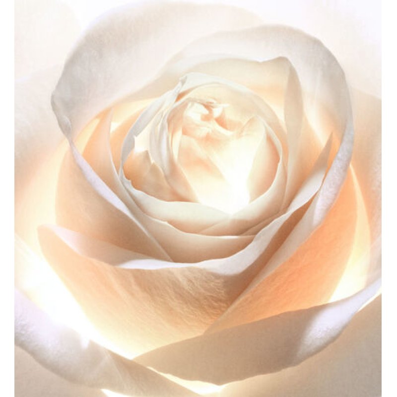 Dior Prestige Light-In-White Exceptional Brightening Peeling Lotion