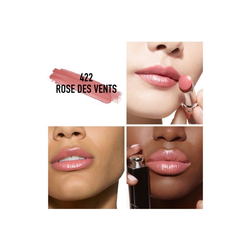 Dior Addict Refill Rose des Vents 422 3.2 g