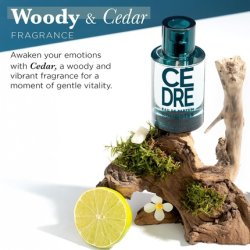 Solinotes Cedarwood Perfume for Men - Eau de Parfum | Refined Woody and Soothing