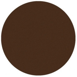 Parisax Matte Dark Brown Eyeshadow