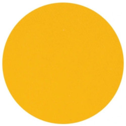 Parisax Matte Yellow Eyeshadow