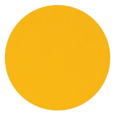 Parisax Matte Yellow Eyeshadow