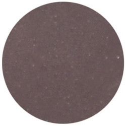 Parisax Matte Eyeshadow In Eggplant