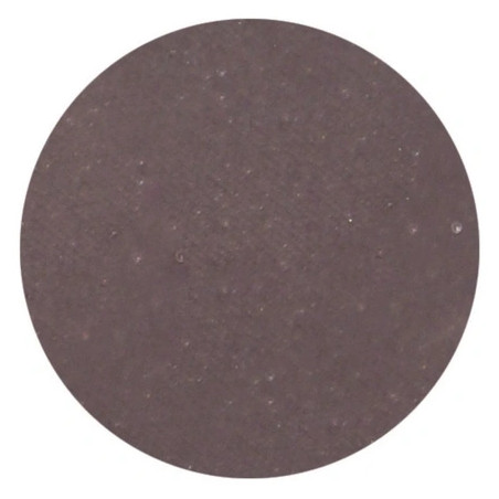 Parisax Matte Eyeshadow In Eggplant