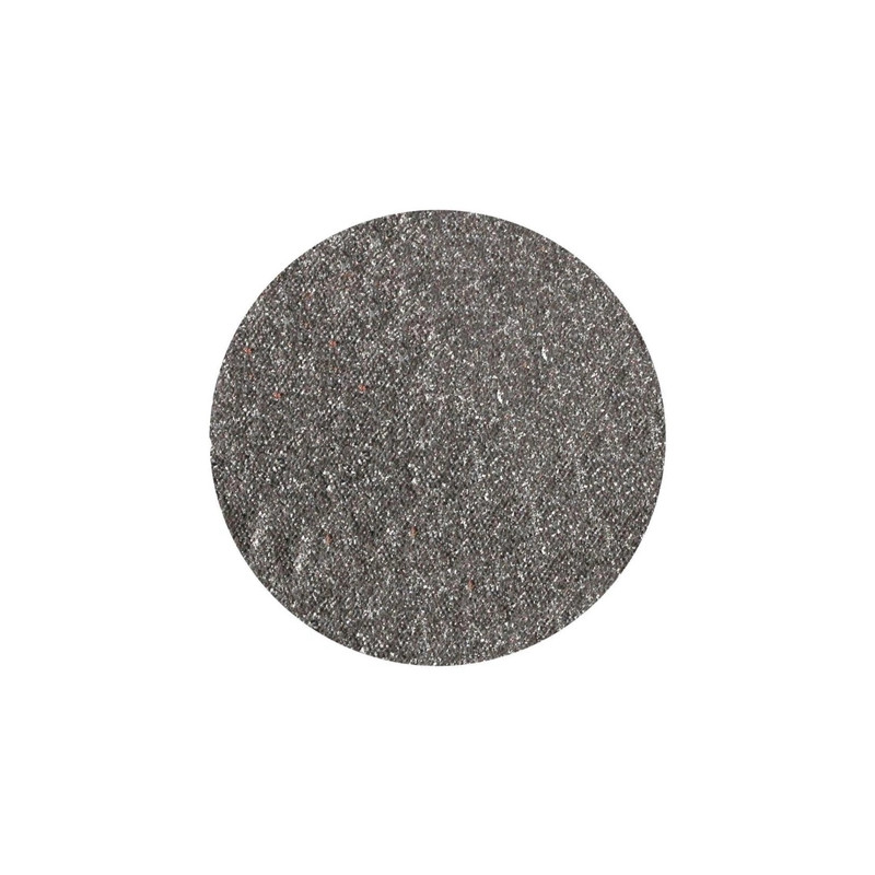 Parisax Shimmering Eyeshadow Gray Metal