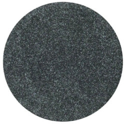 Parisax Iridescent Black Eyeshadow