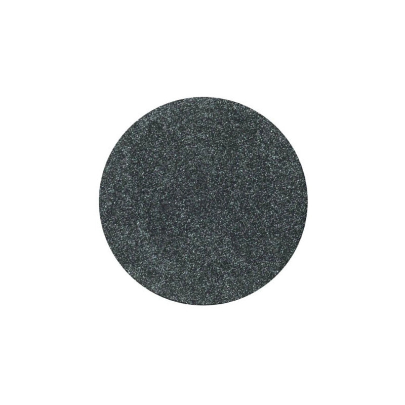 Parisax Iridescent Black Eyeshadow