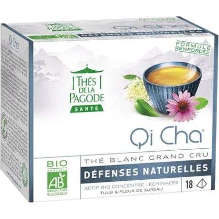 Thea De La Pagoda with Thea Qi Cha