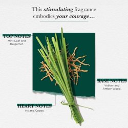 Solinotes Vetiver Perfume for Men Eau De Parfum - Bold and Sensual Adventure