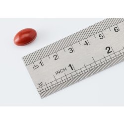 Arkopharma 4321 Slim Zone Rebel Dietary Supplement 60 Capsules