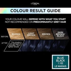 L'Oréal Paris Preference Vivids Permanent Hair Colour Blue Black 1.102