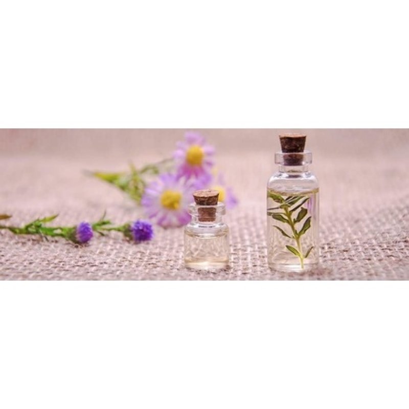 Laboratoire Du Haut-Segala Organic Prune Kernel Oil 50ml