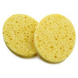 Pbi Natural Vegetable Sponges Dry Oval Cellulose Yellow 11.5 X2