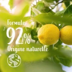 Le Petit Marseillais The Cooker Hand Cleansing Gel 300ml